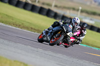 PJ-Motorsport-2019;anglesey-no-limits-trackday;anglesey-photographs;anglesey-trackday-photographs;enduro-digital-images;event-digital-images;eventdigitalimages;no-limits-trackdays;peter-wileman-photography;racing-digital-images;trac-mon;trackday-digital-images;trackday-photos;ty-croes